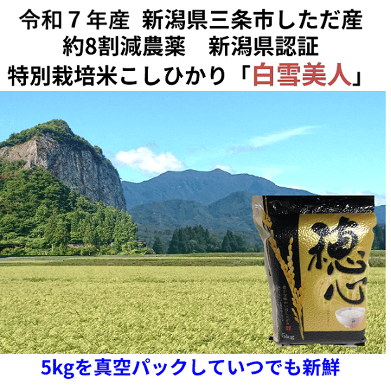 令和7年産 減農薬 ネオニコチノイド系農薬不使用 新潟こしひかり白米 