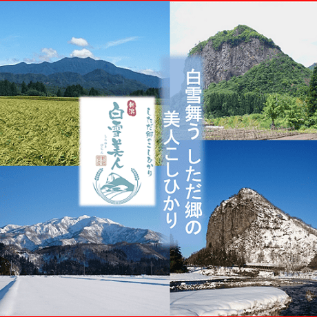 令和7年産　減農薬　新潟こしひかり白米23kg ネオニコチノイド系農薬不使用 新潟県三条市旧しただ村産　新潟県認証　特別栽培米100%本物 白雪美人　送料無料　グルテンフリー