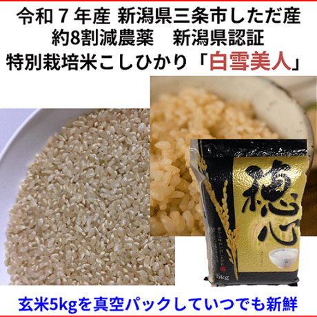 令和7年産　減農薬　新潟こしひかり玄米真空パック10kg　ネオニコチノイド系農薬不使用　新潟県三条市旧しただ村産　1等米 新潟県認証　特別栽培米100% 白雪美人　グルテンフリー　送料無料