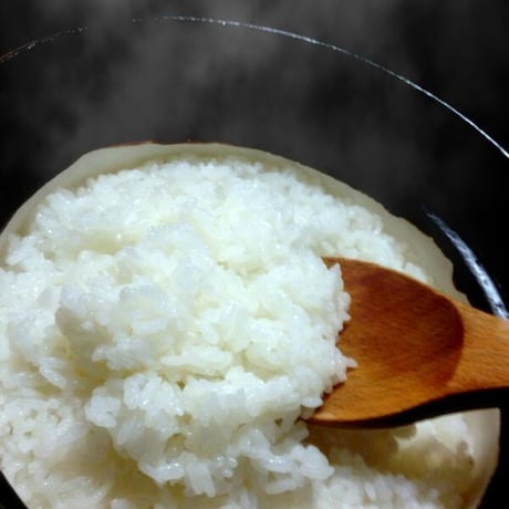 令和7年産　減農薬　新潟こしひかり白米23kg ネオニコチノイド系農薬不使用 新潟県三条市旧しただ村産　新潟県認証　特別栽培米100%本物 白雪美人　送料無料　グルテンフリー
