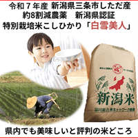 令和7年産　減農薬　新潟こしひかり白米26kg　ネオニコチノイド系農薬不使用　新潟県三条市旧しただ村産　新潟県認証　特別栽培米100% 白雪美人　混米も偽装無し　グルテンフリー