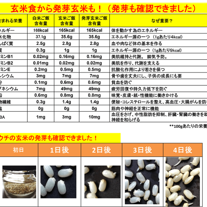 令和7年産 減農薬 ネオニコチノイド系農薬不使用 新潟こしひかり玄米