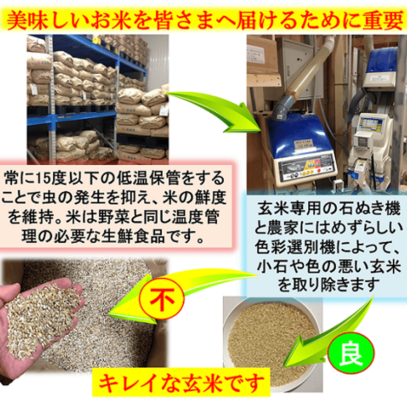 残り12袋　減農薬　新潟こしひかり玄米30kg　三条市旧しただ村産　特別栽培米