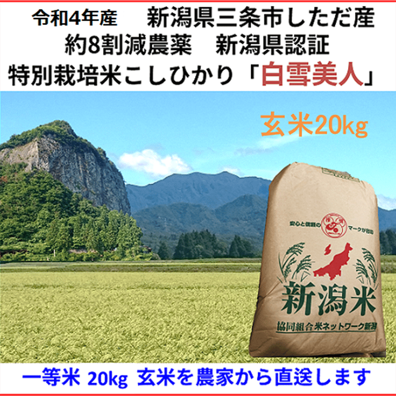 減農薬栽培令和4年白米コシヒカリ40kg-