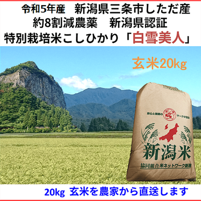 令和5年産新米 減農薬 新潟こしひかり玄米20kg 新潟県三条市旧しただ村 ...