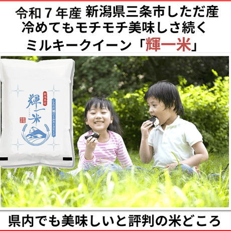 令和7年産　ネオニコチノイド系農薬不使用　新潟県産ミルキークイーン白米5kg 新潟県三条市旧しただ村産　1等米 冷めても美味しいミルキークイーン100%  輝一米　グルテンフリー　送料無料