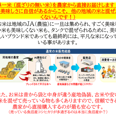 令和7年産　減農薬　新潟こしひかり白米26kg　ネオニコチノイド系農薬不使用　新潟県三条市旧しただ村産　新潟県認証　特別栽培米100% 白雪美人　混米も偽装無し　グルテンフリー