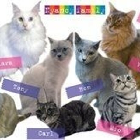 【ニャンシー】猫カフェマグカップ★Nyancyファミリー★