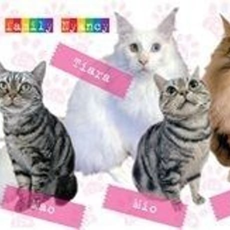 【ニャンシー】猫カフェマグカップ★Nyancyガールズ★