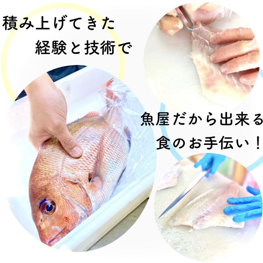 5f7332508f2ebd4ac0b1c658