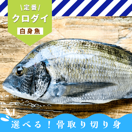 オーダー専用 クロダイサイト用フライ 30個 Aタイプ クロダイ | STORES