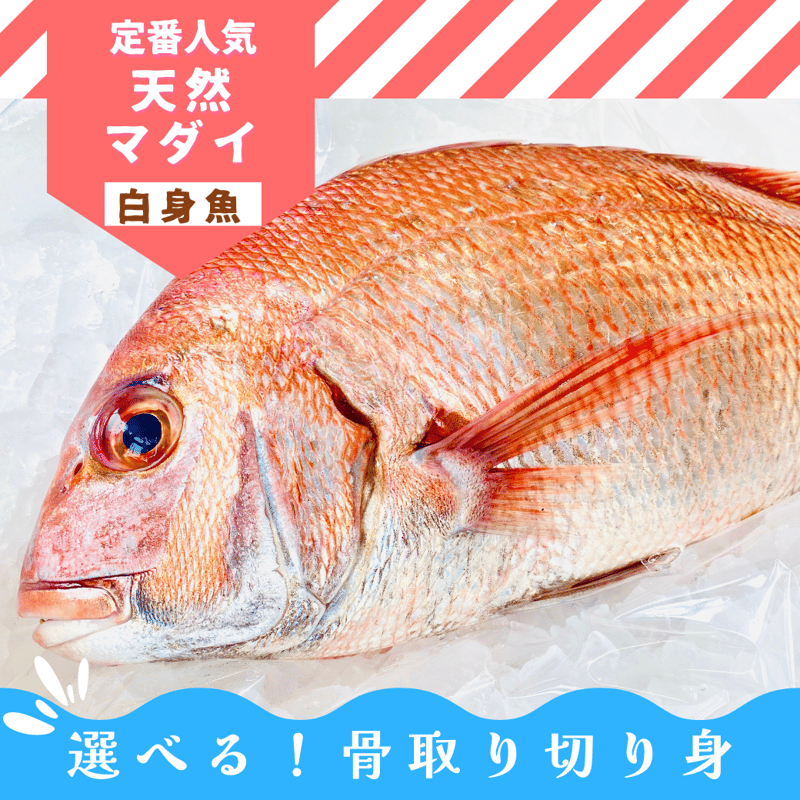 選べる！切身魚のカット】【大きめ・ひとくちカット】［愛媛県産］天然マダイ 骨なし切身魚【人気...