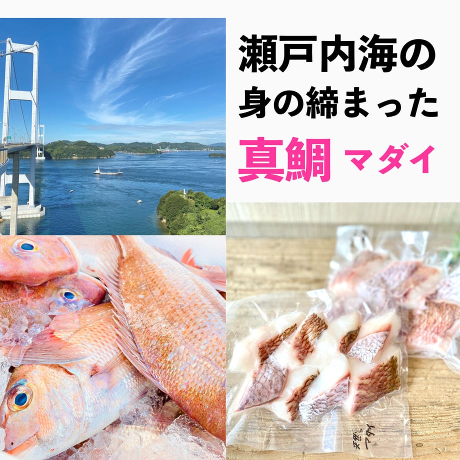 5e78b166e20b04296051876a