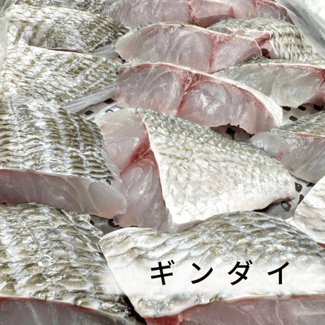 【地魚・骨取り】ギンダイ｜2切 110g｜塩焼き・煮付け向き