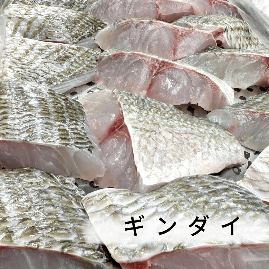 6a18089ca3a20c0f7ca48349