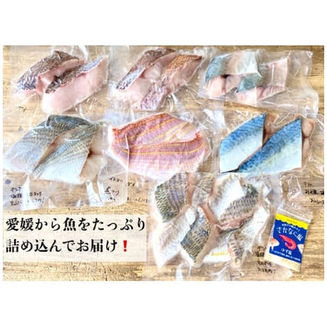 となりの魚やオススメ！詰合せセット-骨なし切身魚・調味塩・レシピ付き−【人気】【送料無料】