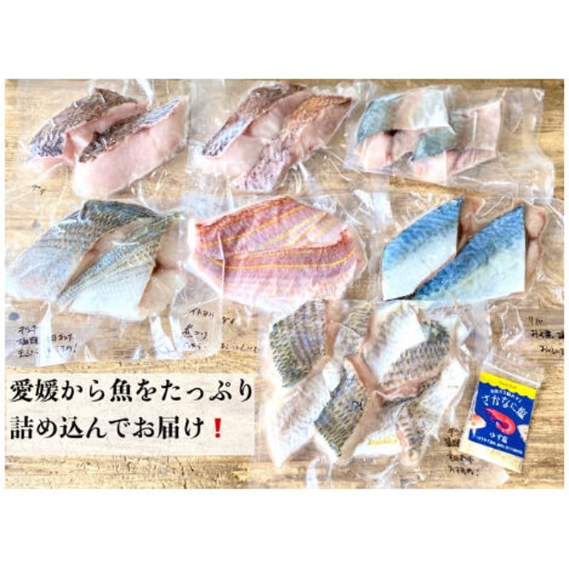 となりの魚やオススメ！詰合せセット-骨なし切身魚・調味塩・レシピ