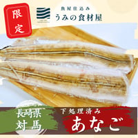 【下処理済/１本】国産アナゴの開き（長崎県対馬産）