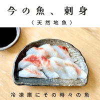 【愛媛・地魚】魚屋の作る。お刺身　1人前　その時々の魚
