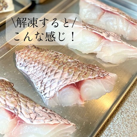 【地魚・骨取り】天然マダイ｜2切 110g｜塩焼き・鯛めし向き