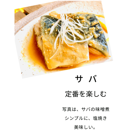 【国産・骨取り】天然サバ｜2切 110g｜塩焼き・ 味噌煮向き