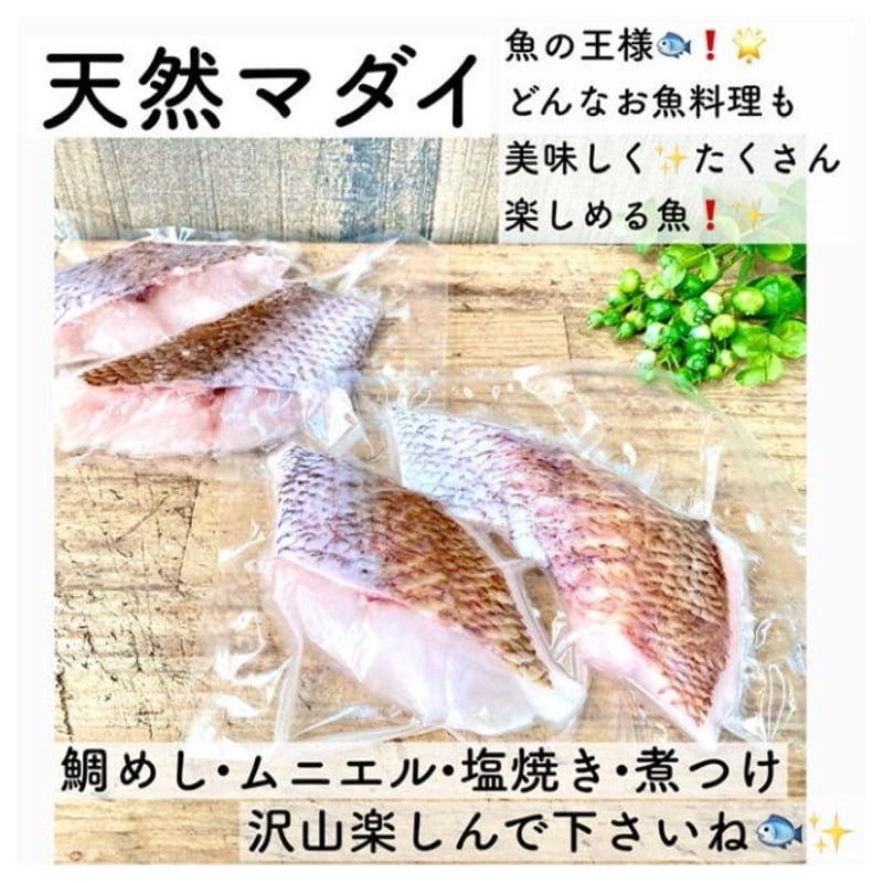 選べる！切身魚のカット】【大きめ・ひとくちカット】［愛媛県産］天然マダイ 骨なし切身魚【人気...