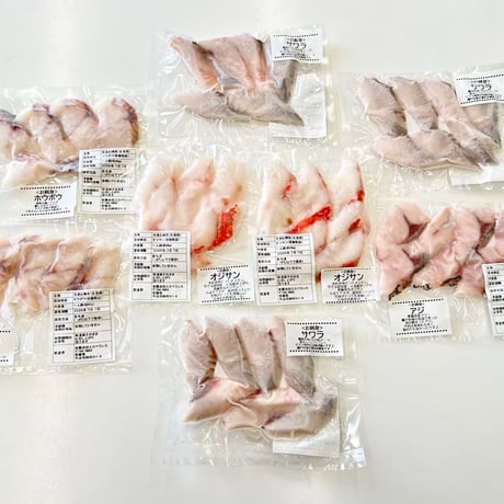 【愛媛・地魚】魚屋の作る。お刺身　1人前　その時々の魚