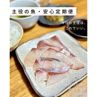 【3ヶ月ごと】「今日のご飯は、これで大丈夫」魚屋から届く定期便