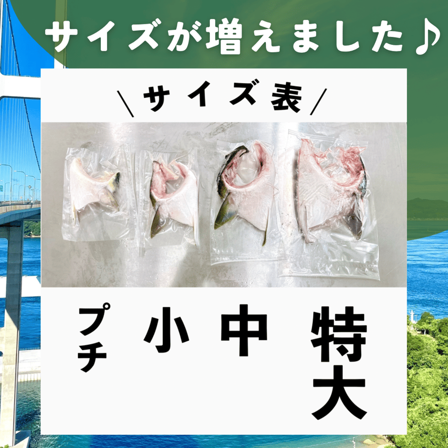 6222cc3934e0174af27ff469