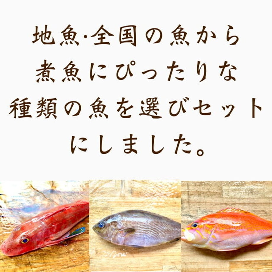 5e91282d2a9a4233121a110f