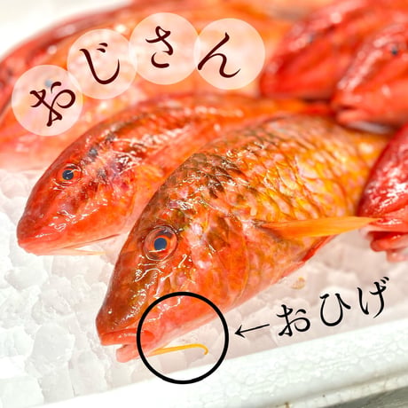 【地魚・骨取り】オジサン｜2切から４切110g｜塩焼き・ムニエル向け