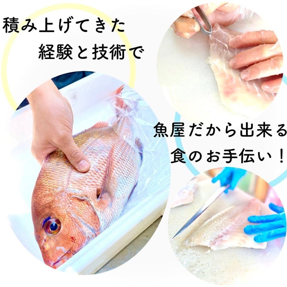 62109984c15c5a0f05d16f79