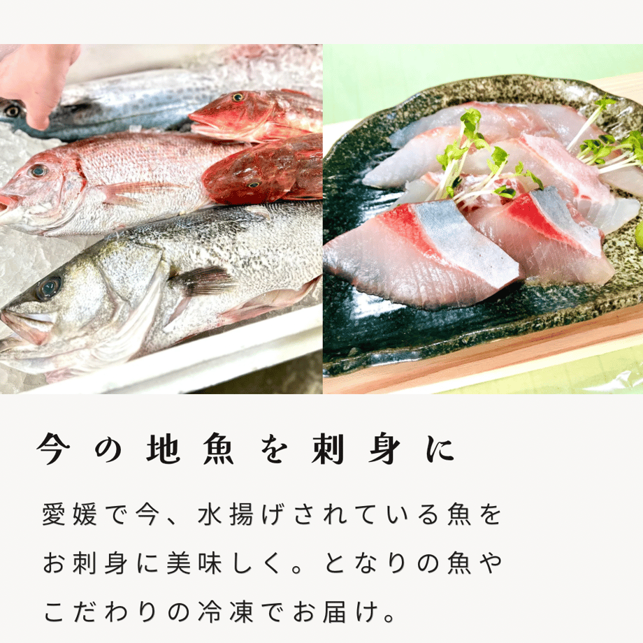 67b5dcfef5e1400757fe96e0