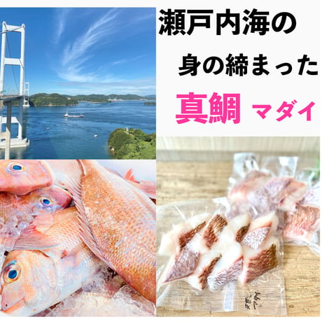 ［愛媛県産］真鯛と真蛸のアヒージョキット−ガーリックソルト付き−〈2人分〉