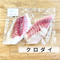 唐揚げ、ムニエル絶品。｜骨取りクロダイ切身［110g］