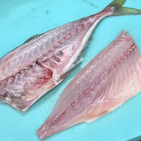 【国産・骨取り】天然アジ｜2切 110g｜焼き魚・フライ向き