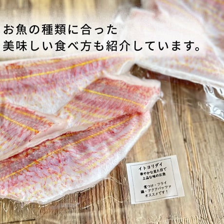 【地魚・骨取り】ギンダイ｜８切 110g｜天ぷら・竜田揚げ向き