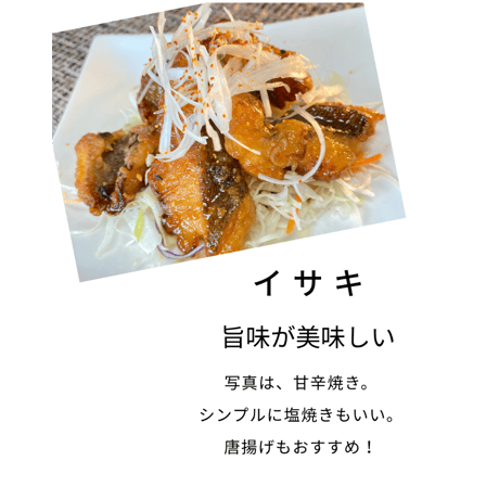 ☔雨の日のごちそう市☔【地魚・骨取り】天然イサキ｜ひとくち 110g｜唐揚げ・野菜炒め向き