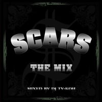 SCARS / THE MIX mixed by DJ TY-KOH