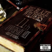 BIG BLAZE WILDERS / 11th Anniversary Mix -BEST OF REMIX-