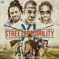 BIG BLAZE WILDRES / STREET CREDIBILITY 11