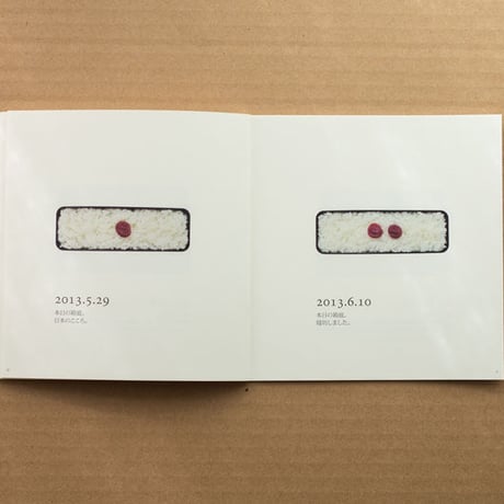 大門美奈写真集 本日の箱庭 the Miniature Garden（ZINE）