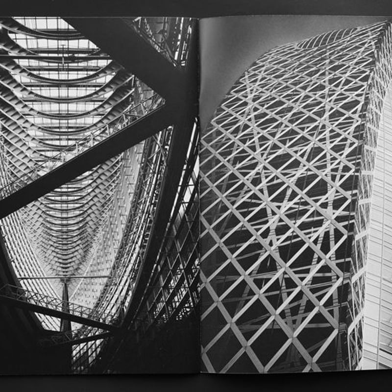 大門正明写真集 COMMON GRAVE（ZINE） | Mina Daimon Photog