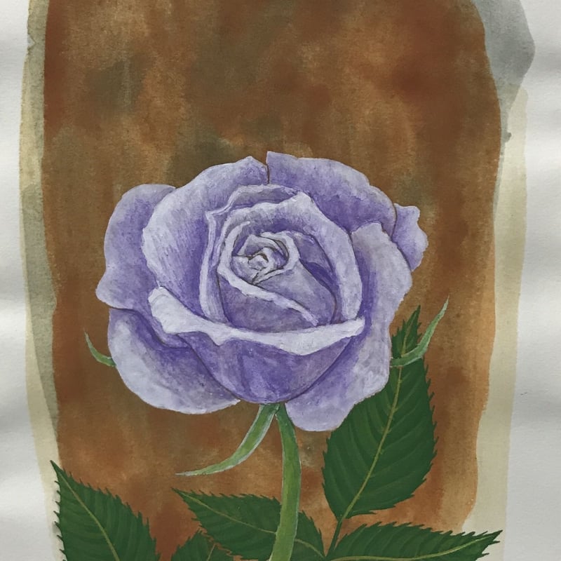青いバラ」画用紙にテンペラ画 | ようこそ！ アトリエ・ルネッサンス