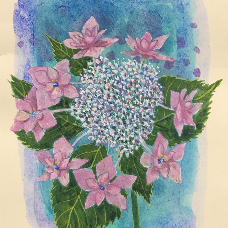 額紫陽花ーほほえみ」画用紙にテンペラ画 | ようこそ！ アトリエ