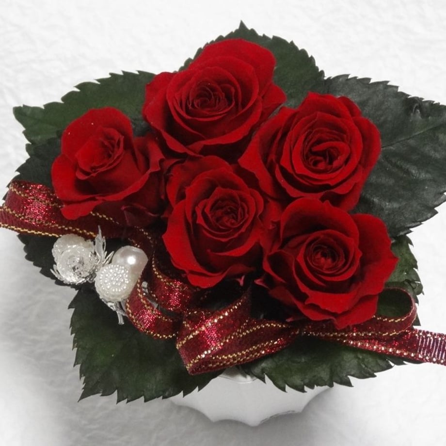 54ed2c61391bb3875e001111