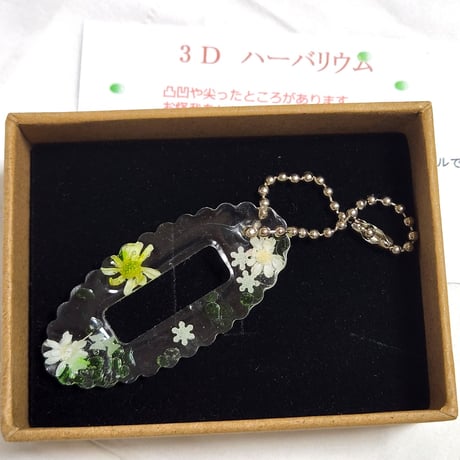 固まるハーバリウムピンク　箱入り