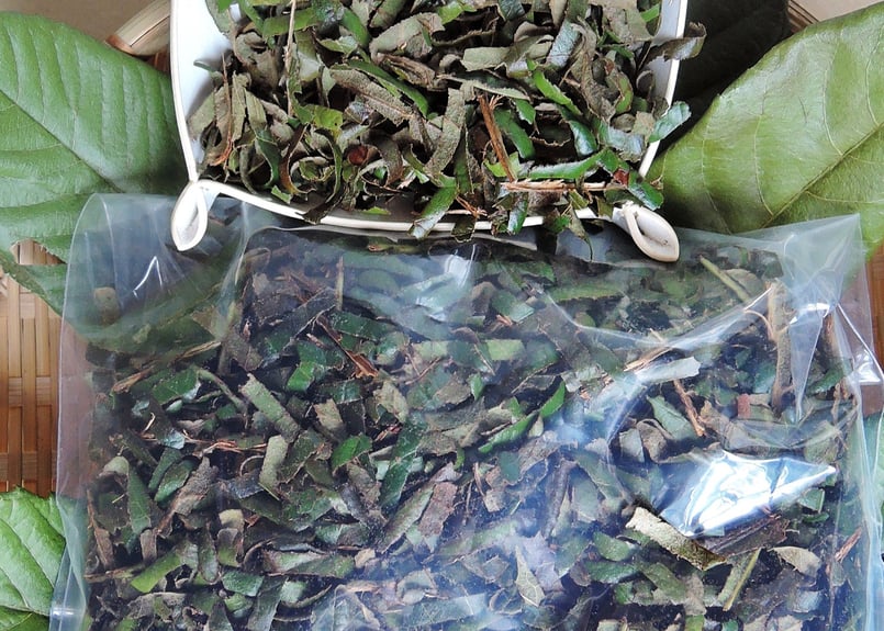 びわの葉エキスつくり用（漬けるだけ・すぐ、濃く、抽出）、びわの葉