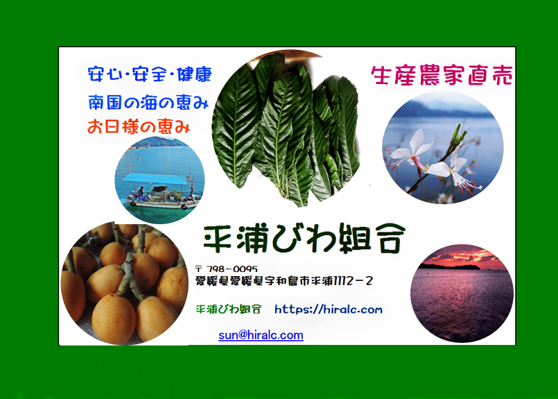 枇杷の葉　確認用 Amazon.co.jp: 無農薬 枇杷の葉（びわの葉） 150g（枇杷の生葉15枚
