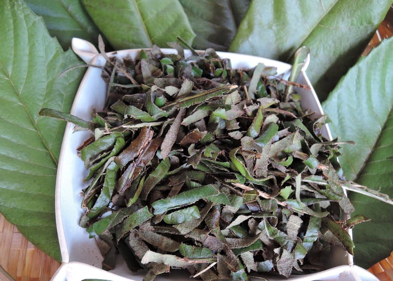 びわの葉エキスつくり用（漬けるだけ・すぐ、濃く、抽出）、びわの葉